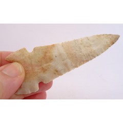 Greenbrier arrowhead