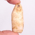 Colgante de diente fósil de morsa