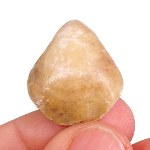 Cerethyris intermedia