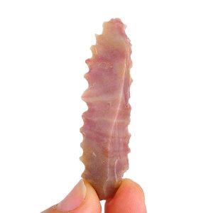 Denticulado