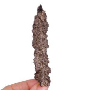 Fulgurita