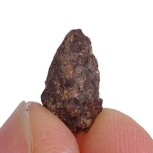 Acapulcoite NWA 1054