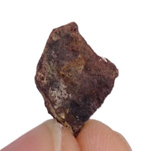 Acapulcoite NWA 1054