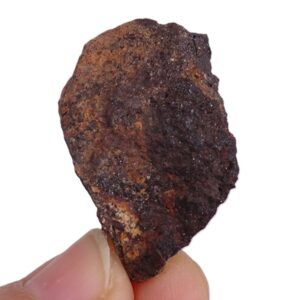 Acapulcoite NWA 1054