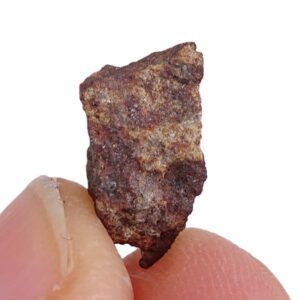 Acapulcoite NWA 1054