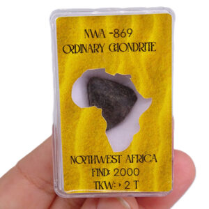 Condrita Ordinaria NWA 869