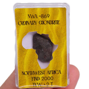 Condrita Ordinaria NWA 869