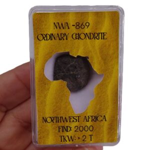 Condrita Ordinaria NWA 869