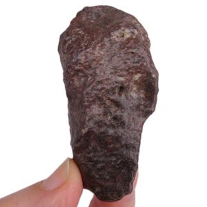 Eucrita