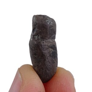 Coprolito de pez