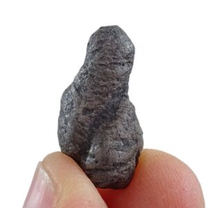 Coprolito de pez