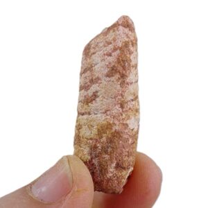 Coprolito de pez