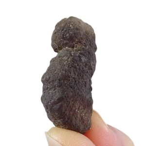 Coprolito de Crocuta crocuta