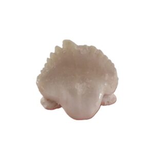 Ginglymostoma sp.