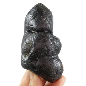 Coprolito de Carcharocles megalodon