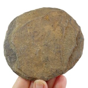Raedera discoidal en cuarcita