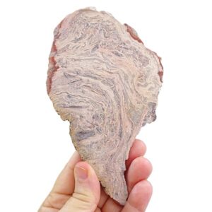 Estromatolito