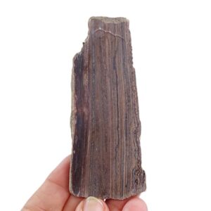 Estromatolito