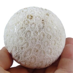 Esfera de coral fósil