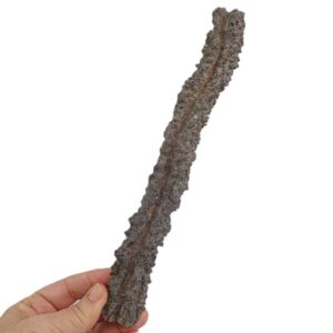 Fulgurita