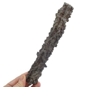 Fulgurita (copia)