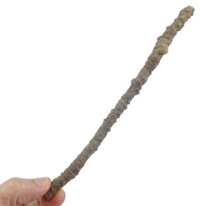 Fulgurita