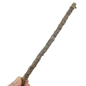 Fulgurita