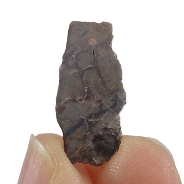 Meteorito Lunar: Adrar 013