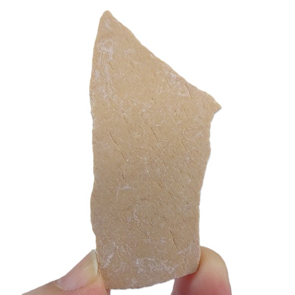 Aepyornis sp. - Imagen 2