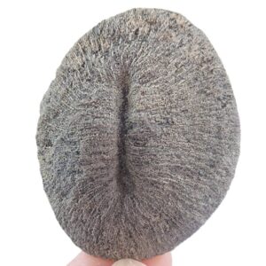 Cunnolites tenuiradiata