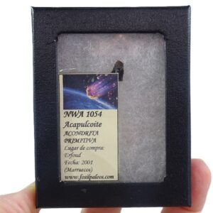 Acapulcoite NWA 1054