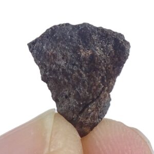 Acapulcoite NWA 1054