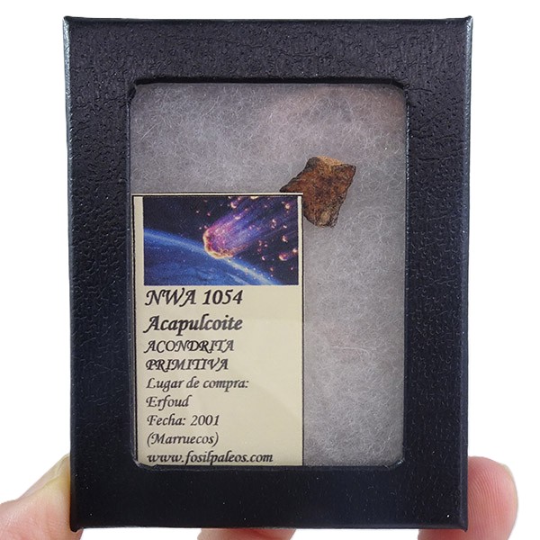 Acapulcoite NWA 1054 - Imagen 2