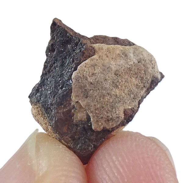 Acapulcoite NWA 1054 - Imagen 3