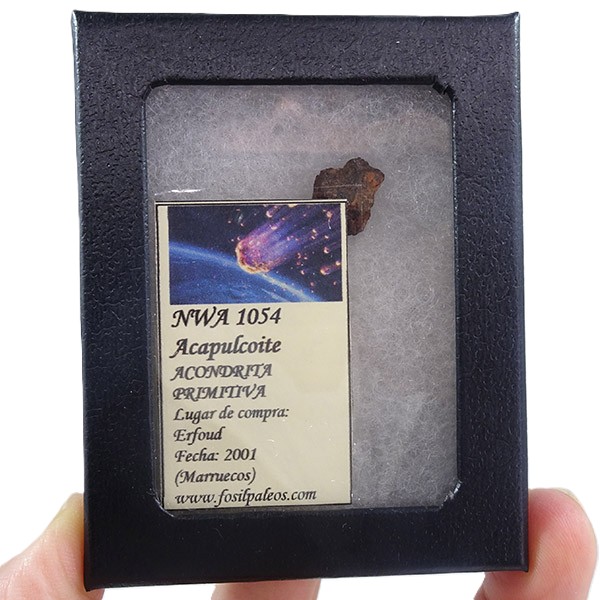 Acapulcoite NWA 1054 - Imagen 2