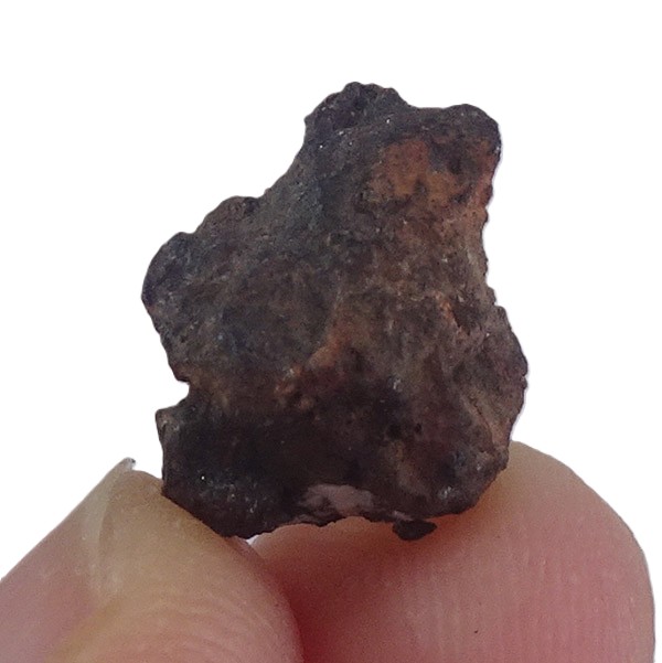 Acapulcoite NWA 1054