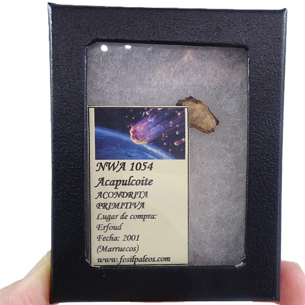 Acapulcoite NWA 1054 - Imagen 2