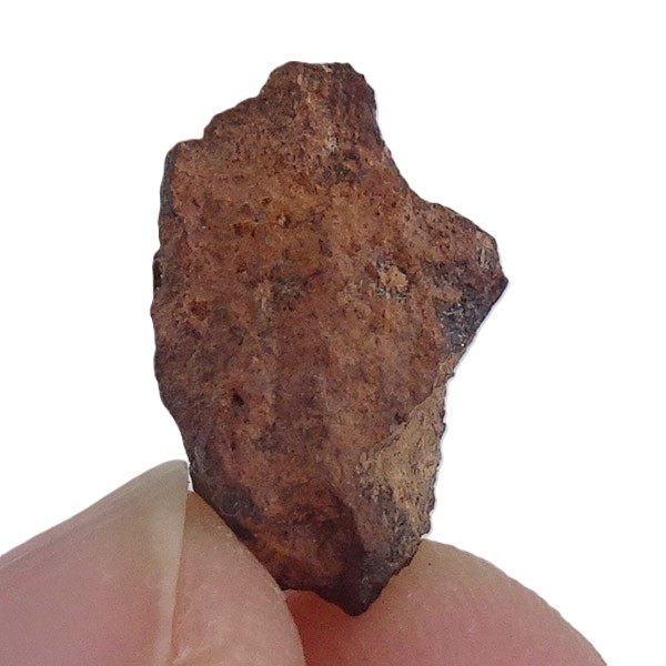 Acapulcoite NWA 1054