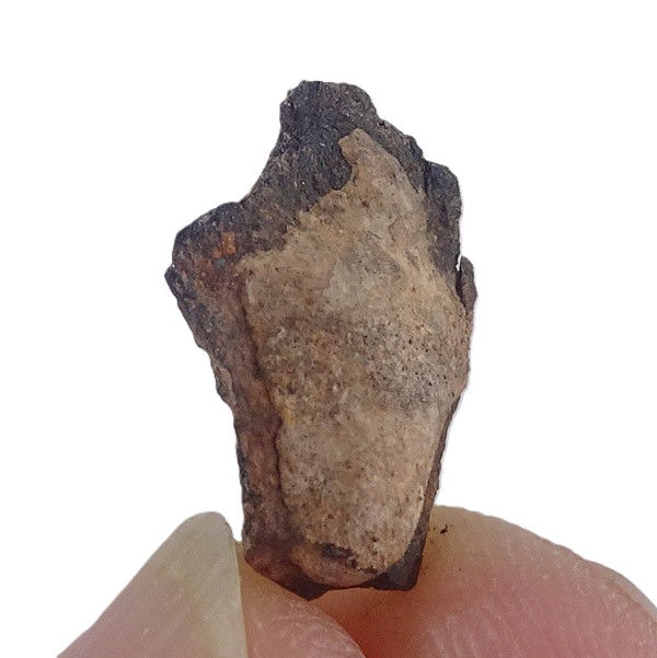 Acapulcoite NWA 1054 - Imagen 3