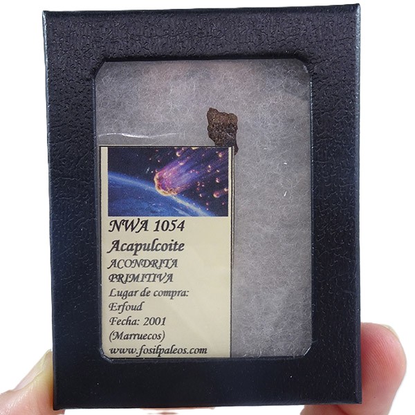 Acapulcoite NWA 1054 - Imagen 3