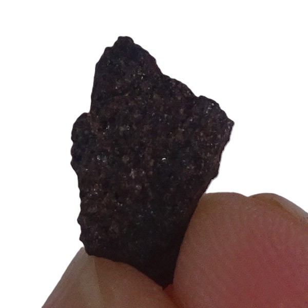 Acapulcoite NWA 1054