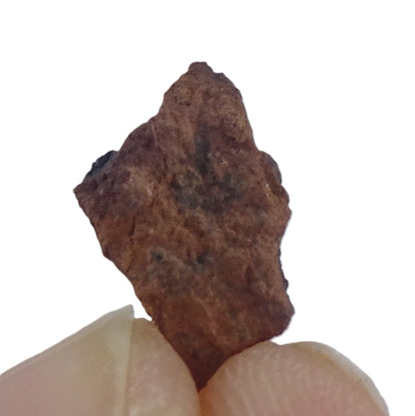 Acapulcoite NWA 1054 - Imagen 2