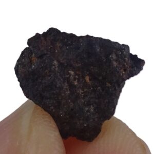 Acapulcoite NWA 1054