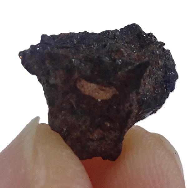 Acapulcoite NWA 1054 - Imagen 3