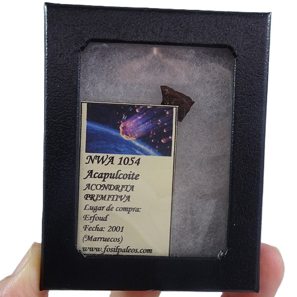 Acapulcoite NWA 1054 - Imagen 2