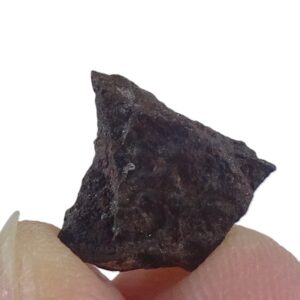 Acapulcoite NWA 1054