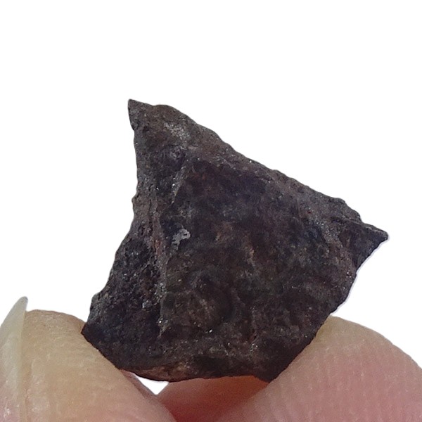 Acapulcoite NWA 1054