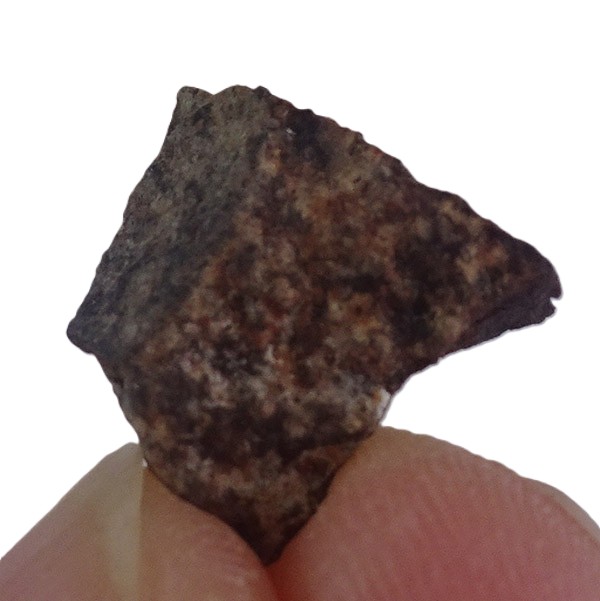 Acapulcoite NWA 1054 - Imagen 3