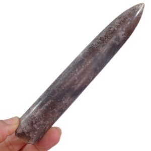 Cylindroteuthis puzosiana