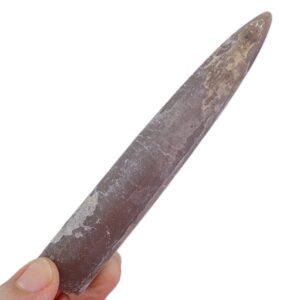 Cylindroteuthis puzosiana